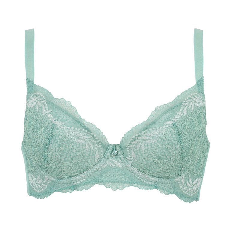 Wendy Shaping Bra 24A1